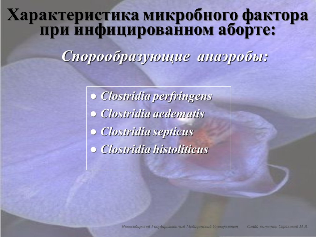Спорообразующие анаэробы: ● Clostridia perfringens ● Clostridia aedematis ● Clostridia septicus ● Clostridia histoliticus